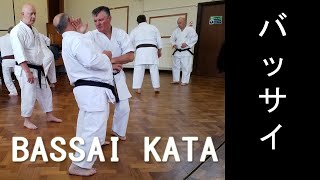 Bassai Kata Kaisetsu  Bunkai  Wado Ryu Karate [upl. by Denni]