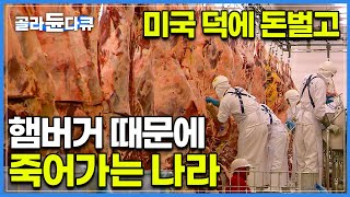 전세계 사랑 받는 햄버거 그 이면에 숨겨진 잔혹한 비밀│햄버거 덕분에 돈 벌지만 열대림 잃어가는 브라질 현실│햄버거 커넥션│다큐프라임│골라듄다큐 [upl. by Ennylyak]