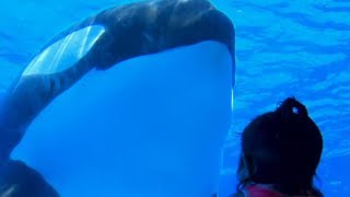 SeaWorld® Killer Whale Experts Why We Care [upl. by Hajan]