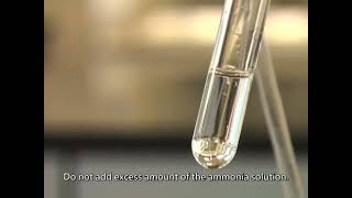 Silver Mirror Test  Tollens Reagent  Magic Chemistry at Lab [upl. by Assiluy617]