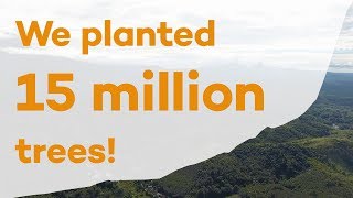 15 million trees planted with Ecosia [upl. by Audie]