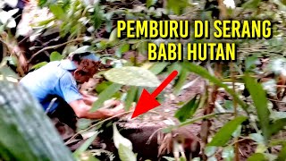 BABI HUTAN SERANG PEMBURU  Buru babi di Sungai Pingai  AMAZING [upl. by Aneis]