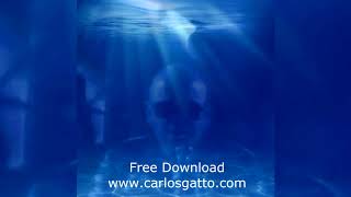 From the Ocean  Carlos Gatto Feat Sumo [upl. by Ibbed]