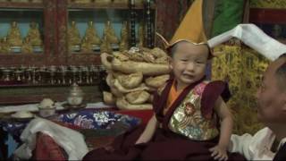 Enthronement Ceremony of Trulku Tenzin Nima [upl. by Boris]