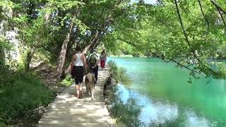 Plitvice Alsó Tavak  Lower Lakes Croatia 2017 [upl. by Ecnarretal115]