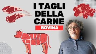 I tagli della carne bovina [upl. by Nedle453]