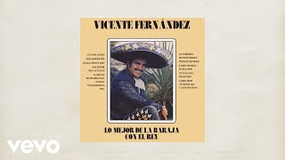 Vicente Fernández  Las Mañanitas Letra  Lyrics [upl. by Hardie]