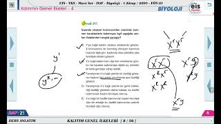 Mavi Set Biyoloji 1  Kalıtımın Genel İlkeleri  4 🔬 [upl. by Willumsen984]