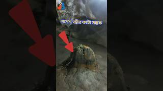 গণেশের আসল মাথা গোপনে রাখা আছে ganesh ganeshchaturthi patalbhuvaneshwar [upl. by Novikoff335]