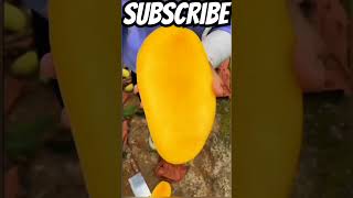 Fruit cutting naturalviralsongnatureclockgamingtrendingshort [upl. by Grunberg]