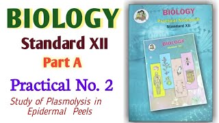 12th Biology Practical No 2 ll Study of Plasmolysis in Epidermal Peels viralvideo jee 12th [upl. by Bonns]