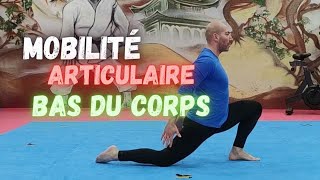 MOBILITE ARTICULAIRE BAS DU CORPS Nouvelle séance ECHAUFFEMENT pour commencer votre entraînement [upl. by Eiramannod]