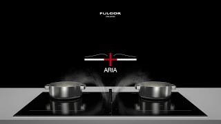 Fulgor Milano  ARIA induction cooktop with integrated extractor [upl. by Perrine]