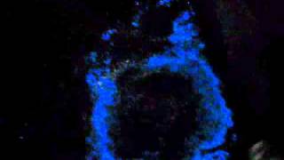 Bioluminescence Bioluminescent Water with Slow Motion [upl. by Htaek606]