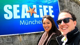 Sea Life Munich VLOG [upl. by Earazed]