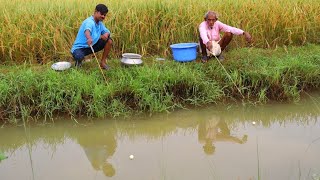 Fishing Video  If you know the technique you can catch fish in different method  Fish trap [upl. by Halsted238]