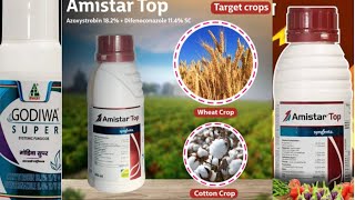 Amister Top fungicide  Godiwa Super fungicide  best fungicide for paddy  ধানের ঝলসা ও খোলা পচা । [upl. by Hughett]