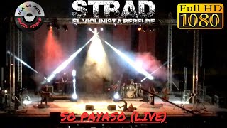 💿 STRAD El Violinsta Rebelde  So Payaso ❗EXTREMODURO cover❗ live in Sevilla 2019  HD 1080 💿 [upl. by Eyr113]