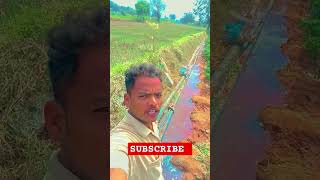 agriculture raithubidda farming farmer agriculturefarming AKRFARMS [upl. by Jermayne]