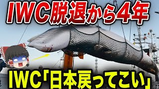 IWCがまさかの経営破綻！日本に復帰を懇願へ【海外の反応】【総集編】 [upl. by Skell645]