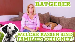 Familienhunde Welche Rasse passt zu meiner Familie [upl. by Krystle]