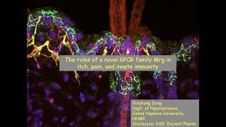 The roles of a novel GPCR family Mrgs in somatosensation and innate immunity [upl. by Indys]