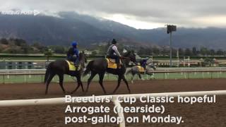 Breeders Cup Arrogate [upl. by Marten305]