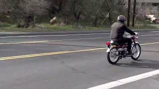 1971 Honda CL100 on the road [upl. by Hanikehs]