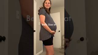 34 weeks pregnant belly bellyprogression [upl. by Hafler]