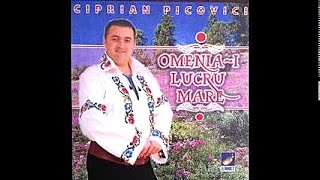 Ciprian Picovici  Neam cunoscut intamplator  CD  Omeniai lucru mare [upl. by Billy]