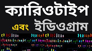 Karyotype and Idiogra  ক্যারিওটাইপ এবং ইডিওগ্রাম। [upl. by Vookles]