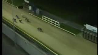 IGB  Irish Retired Greyhound Trust A1 07032019 Race 10  Limerick [upl. by Rakso]