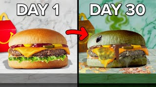 I Let Every Fast Food Burger Decompose For 30 Days [upl. by Joannes]