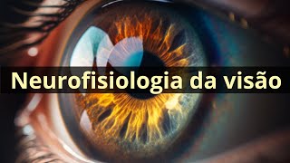 Neurofisiologia da visão função receptora da retina  Fisiologia Humana [upl. by Ecyarg]