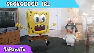 Danceable ringtone  SpongeBob in real life [upl. by Eelrak]