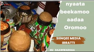 Nyaata Aadaa Oromoo  Oromo Cultural Foods [upl. by Yvel]