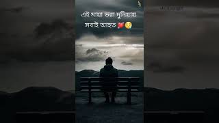 ai Maya Vora duniyai sobai ahoto video sad shere youtube reels [upl. by Ecenahs]