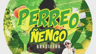 PERREO ÑENGO 1 🇧🇷🍑 Brasilero El Aleex Deejay⚡ [upl. by Eissalc]