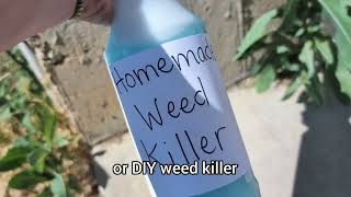 DIY Weed Killer all natural 3 ingredients [upl. by Adnoryt]