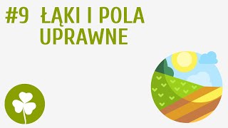 Łąki i pola uprawne 9  Przyroda wokół mnie [upl. by Ateiram]