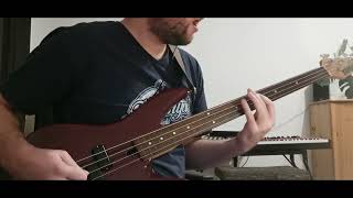 Sledgehammer bass cover [upl. by Ttej155]