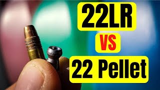 22LR vs 22 Pellet  How Many Milk Jugs [upl. by Euton]