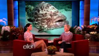 Jennifer Lawrence  The Ellen DeGeneres Show  Full interview HD [upl. by Oulman806]