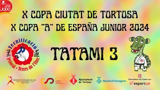 T3 X Copa “A” de España Junior  X Copa Ciutat de Tortosa [upl. by Ihculo]