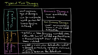 Types of Tort Damages [upl. by Aldarcie332]