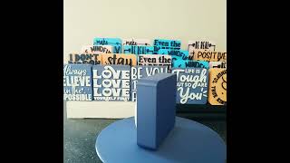 Fun Desk Accessory  Quirky Office Decor quotI Dont Ride On The Crazy Train I Drive Itquot Block [upl. by Eerized]