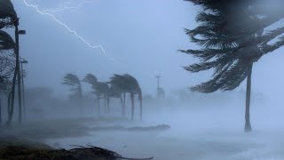 Notte Tempestosa Per Dormire Allistante Con Vento Forte Forti Piogge E Tuoni 🌨 Terribile Uragano [upl. by Eisenberg]