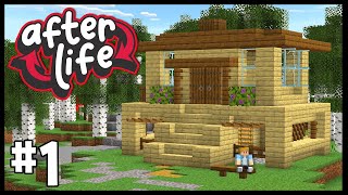 MY FIRST ORIGIN  Minecraft Afterlife SMP  1 [upl. by Corotto]