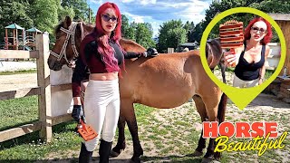 Horse beauty salon  Daily horse care routines 🐎 horse getting clipped  trimming a horse [upl. by Kasey833]