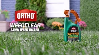 How To Remove Weeds From Lawn  Ortho Weed B Gon and Spectracide Weed Stop [upl. by Nelly]